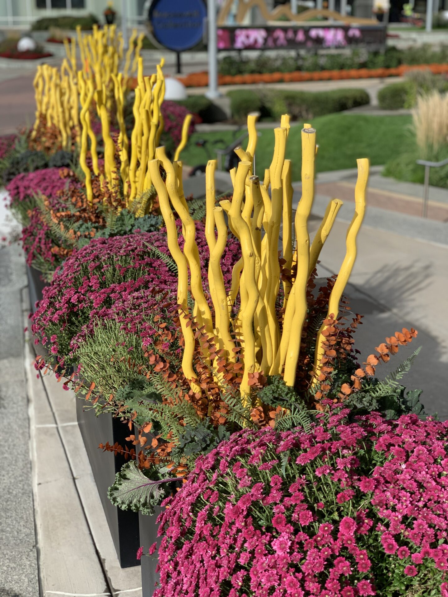 Bright yellow sticks rise above vibrant pink flowers, creating a colorful display in an outdoor urban setting near blurred signage and greenery.