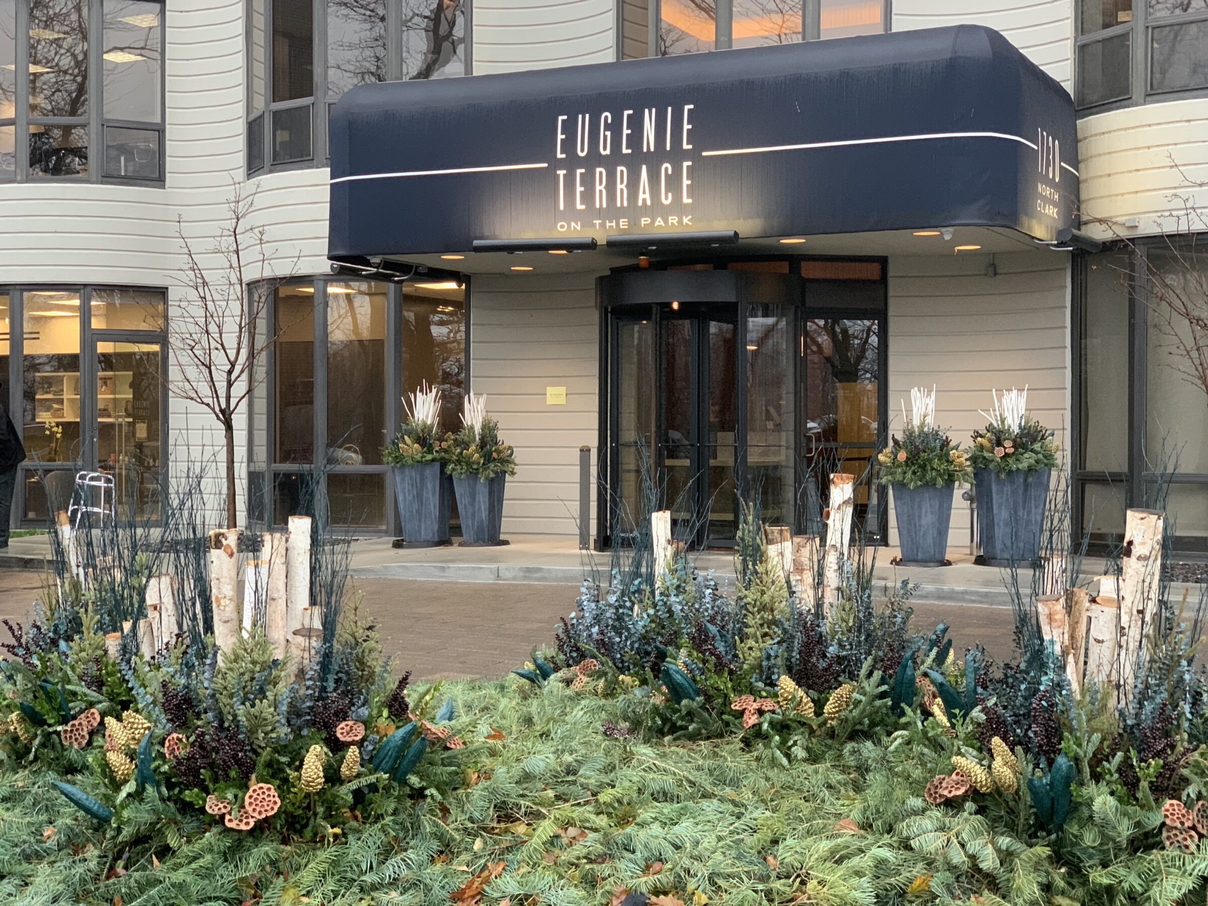 Entrance of Eugenie Terrace on the Park, featuring modern landscaping with pine and birch arrangements, and large potted plants near the doorway.