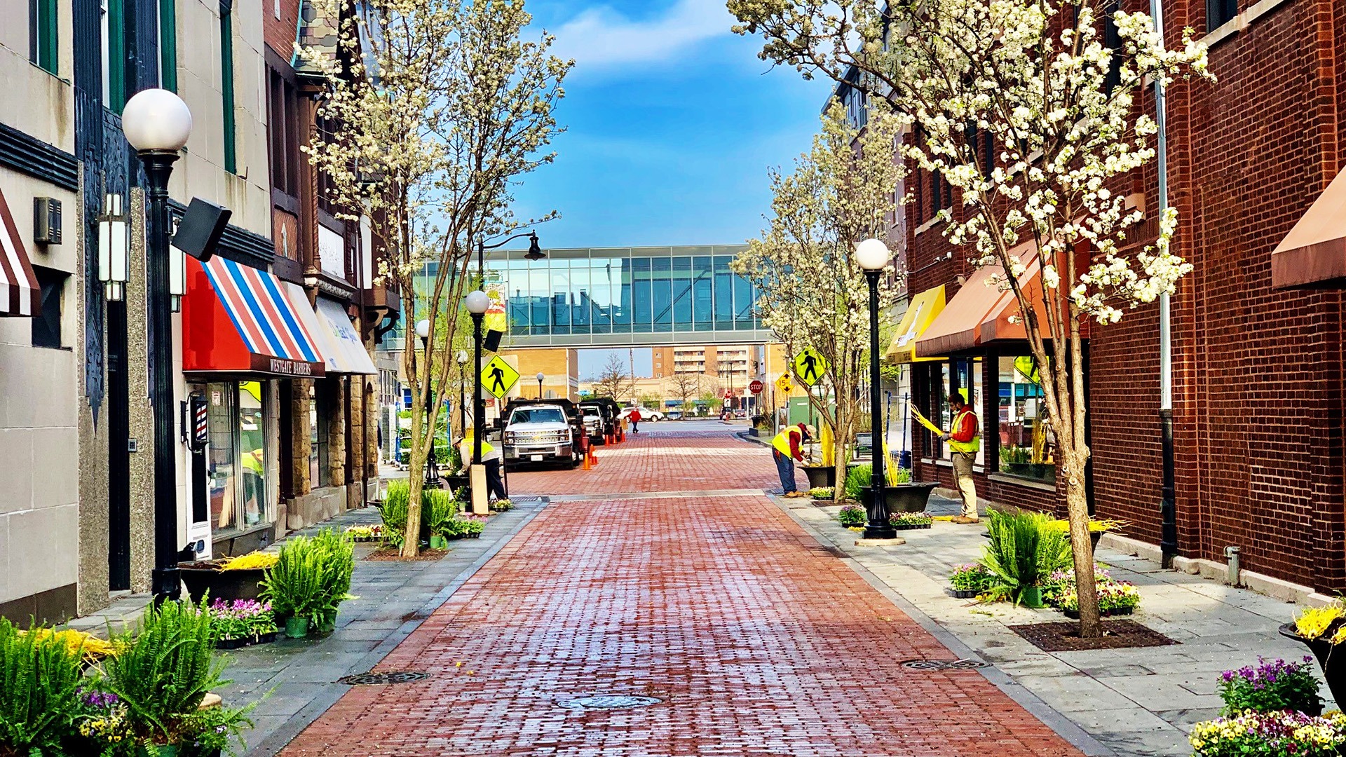 A quaint brick-paved street lined with blooming trees, shops, and people working. A modern glass walkway bridges buildings in the distance.