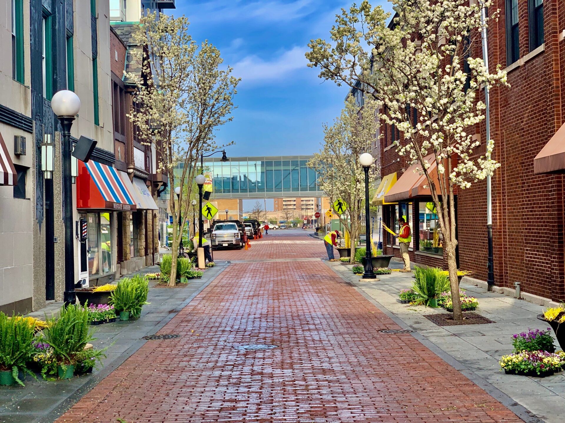 A charming, brick-paved street with blooming trees, storefronts, and two people working. An elevated walkway connects buildings in the background.