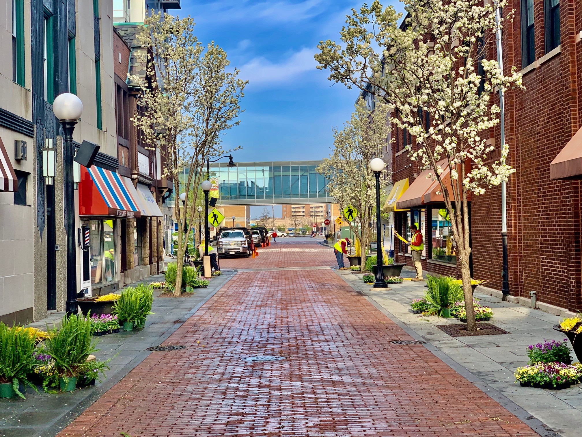 A charming, brick-paved street with blooming trees, storefronts, and two people working. An elevated walkway connects buildings in the background.