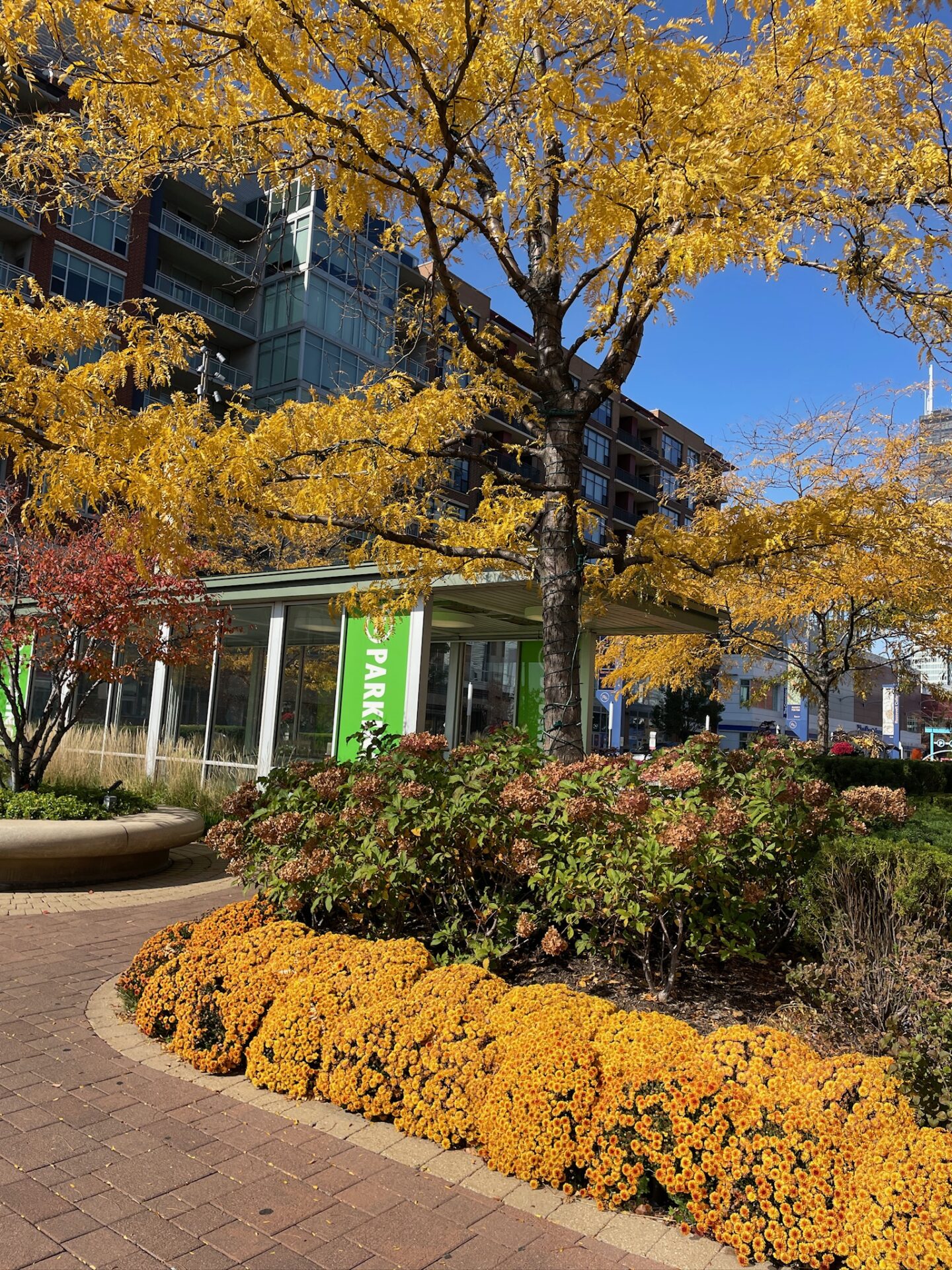 A vibrant park scene features autumn trees, orange flowers, a green 