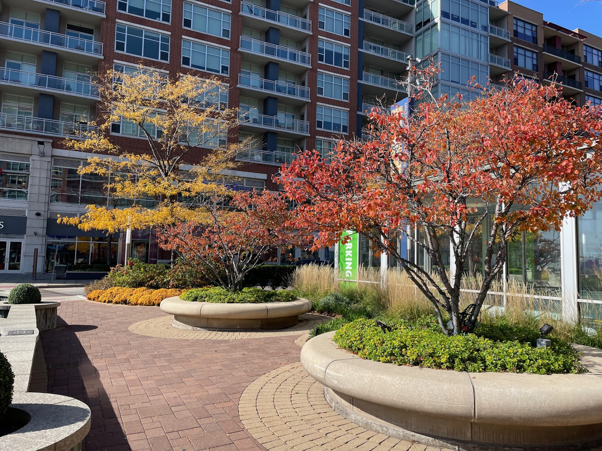 Modern urban courtyard with circular planters featuring autumn trees. A multi-story brick building provides the backdrop, with a visible parking sign.