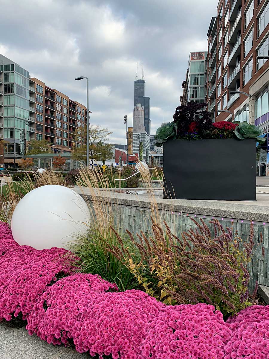 Colorful flowers and urban landscaping adorn a city street with modern buildings. The Willis Tower is visible in the skyline under cloudy skies.