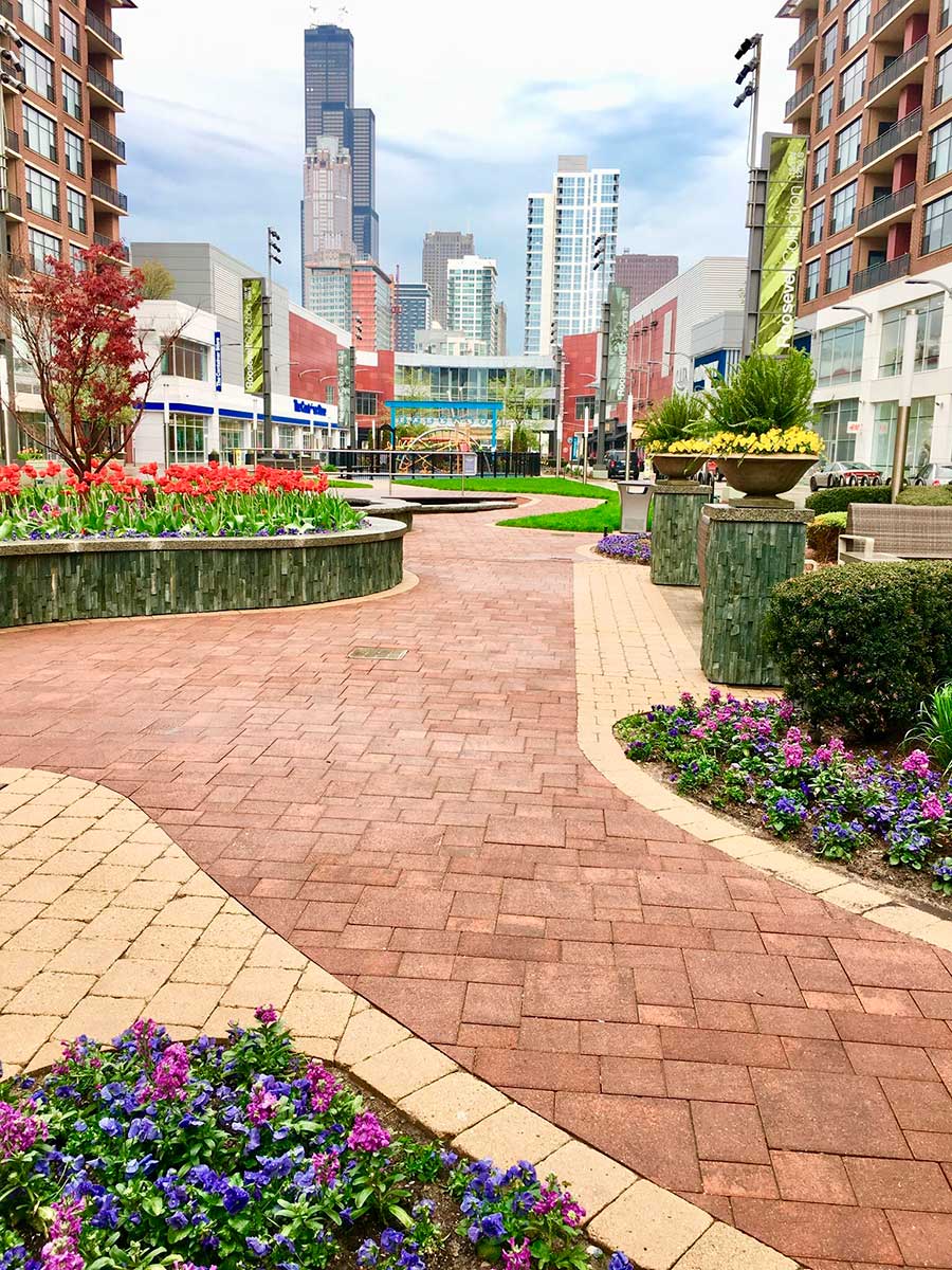 Colorful urban plaza with flowers and greenery, featuring modern buildings. Willis Tower visible in the background, capturing a vibrant city scene.