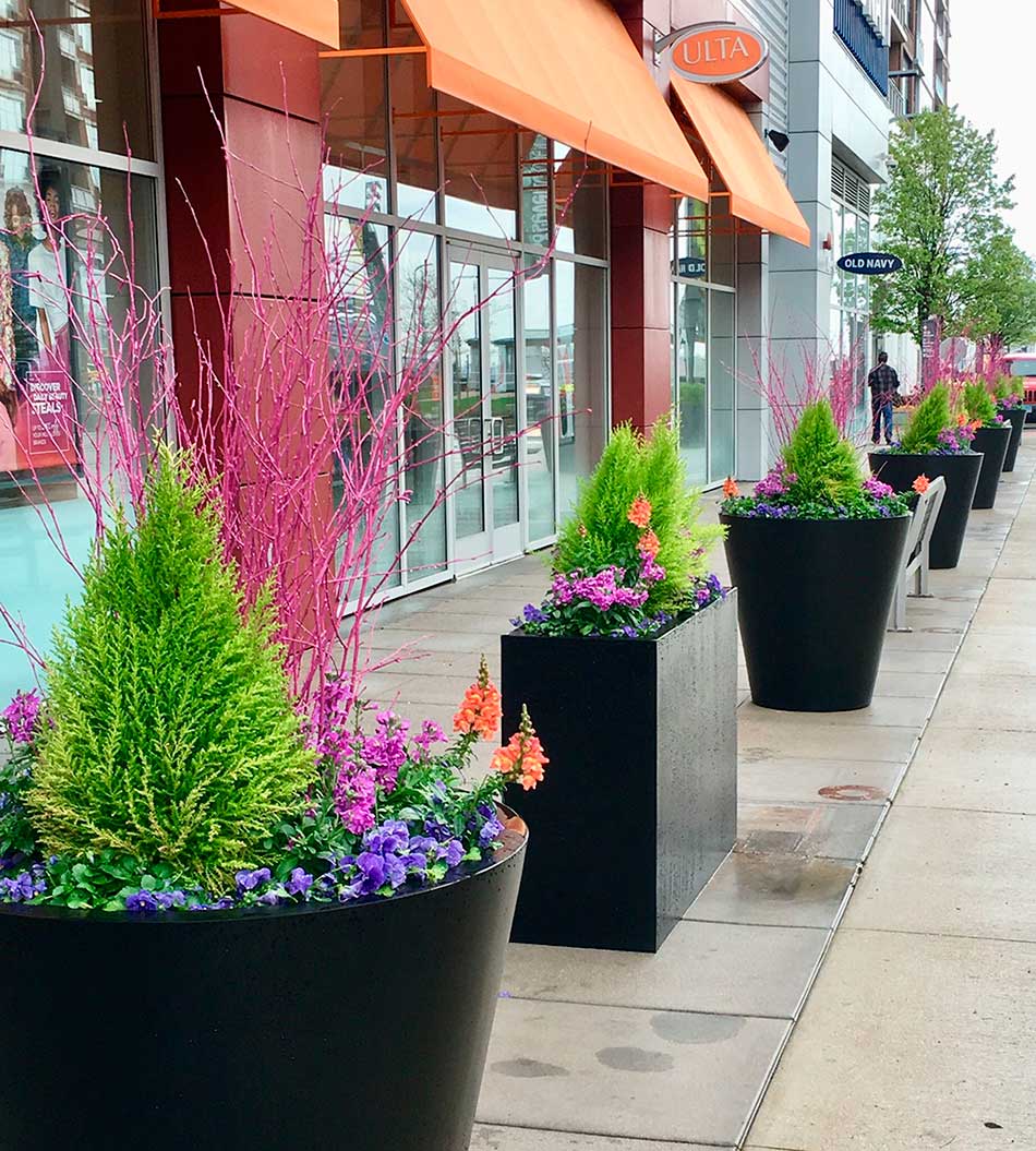 A row of large planters with colorful flowers and greenery lines a shopping area. A person walks past store signs in the background.
