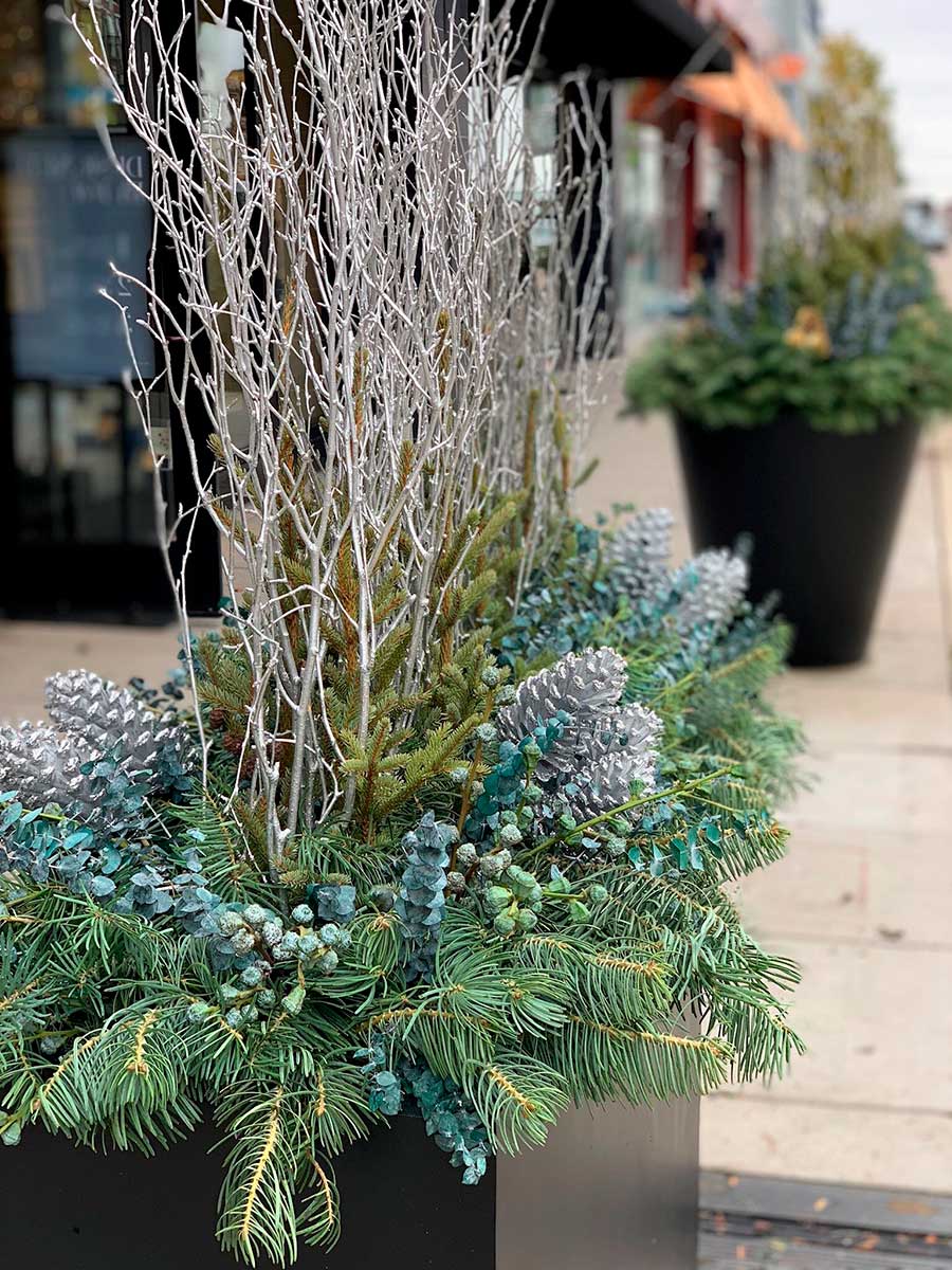Decorative outdoor planters with pine branches, silver twigs, and teal foliage adorn a sidewalk near storefronts, creating a festive, winter-themed display.