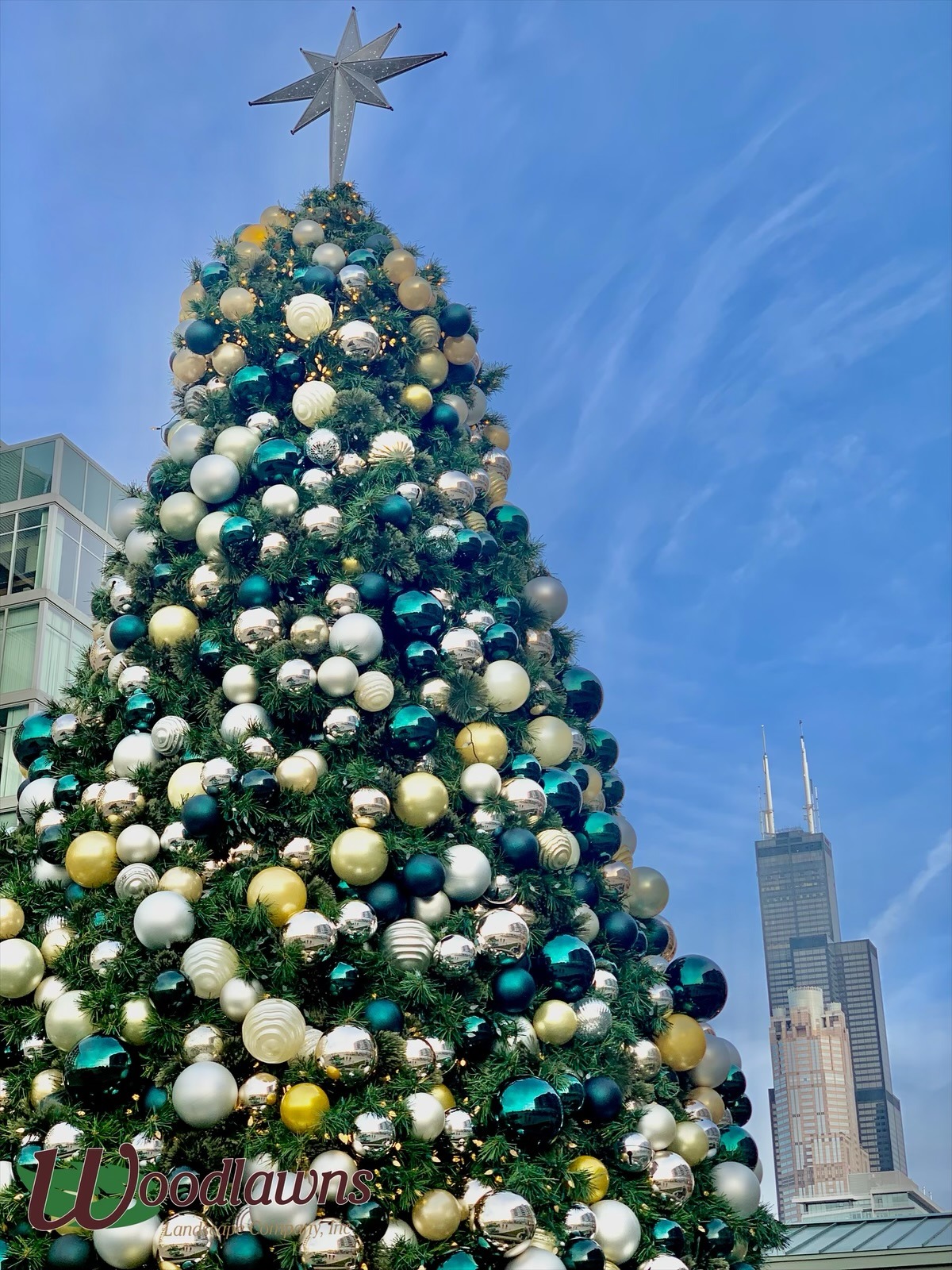 A tall Christmas tree adorned with ornaments beside the Willis Tower under a clear blue sky, featuring a star topper.