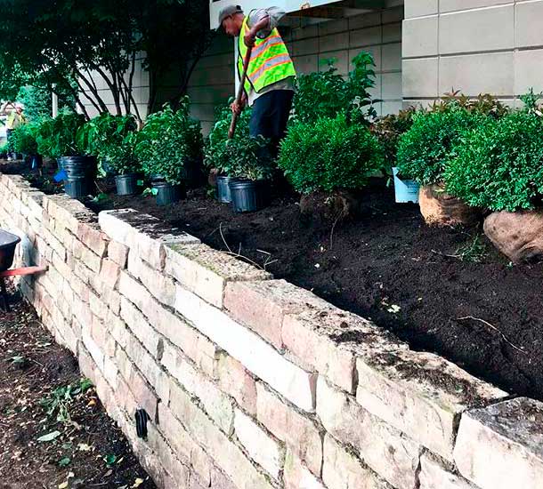 A person in a reflective vest plants greenery along a stone retaining wall, surrounded by potted plants, near a building facade.