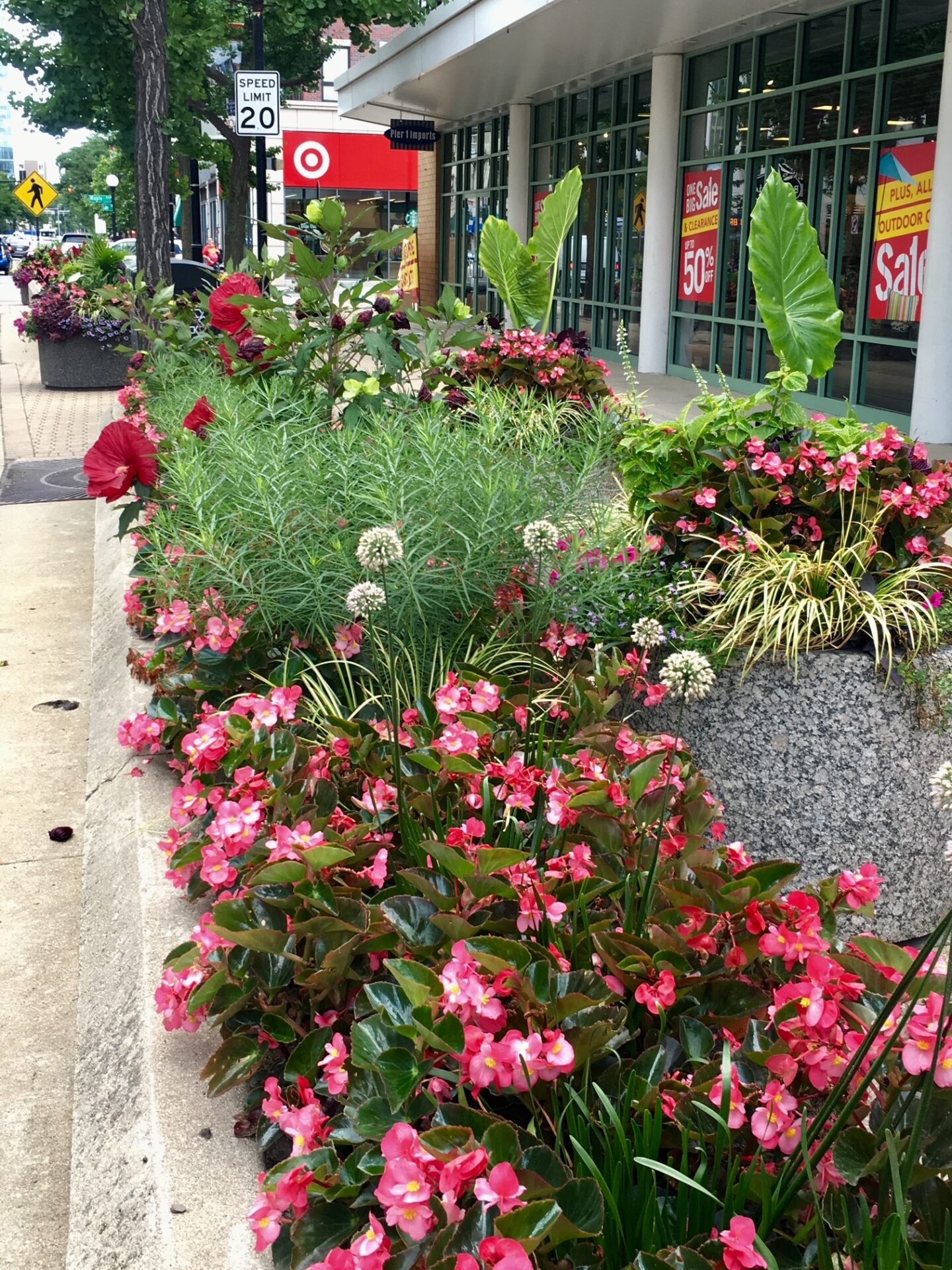 Vibrant flowers line a sidewalk outside a Target store. Sale signs are visible through large windows, under a 20 mph speed limit sign.