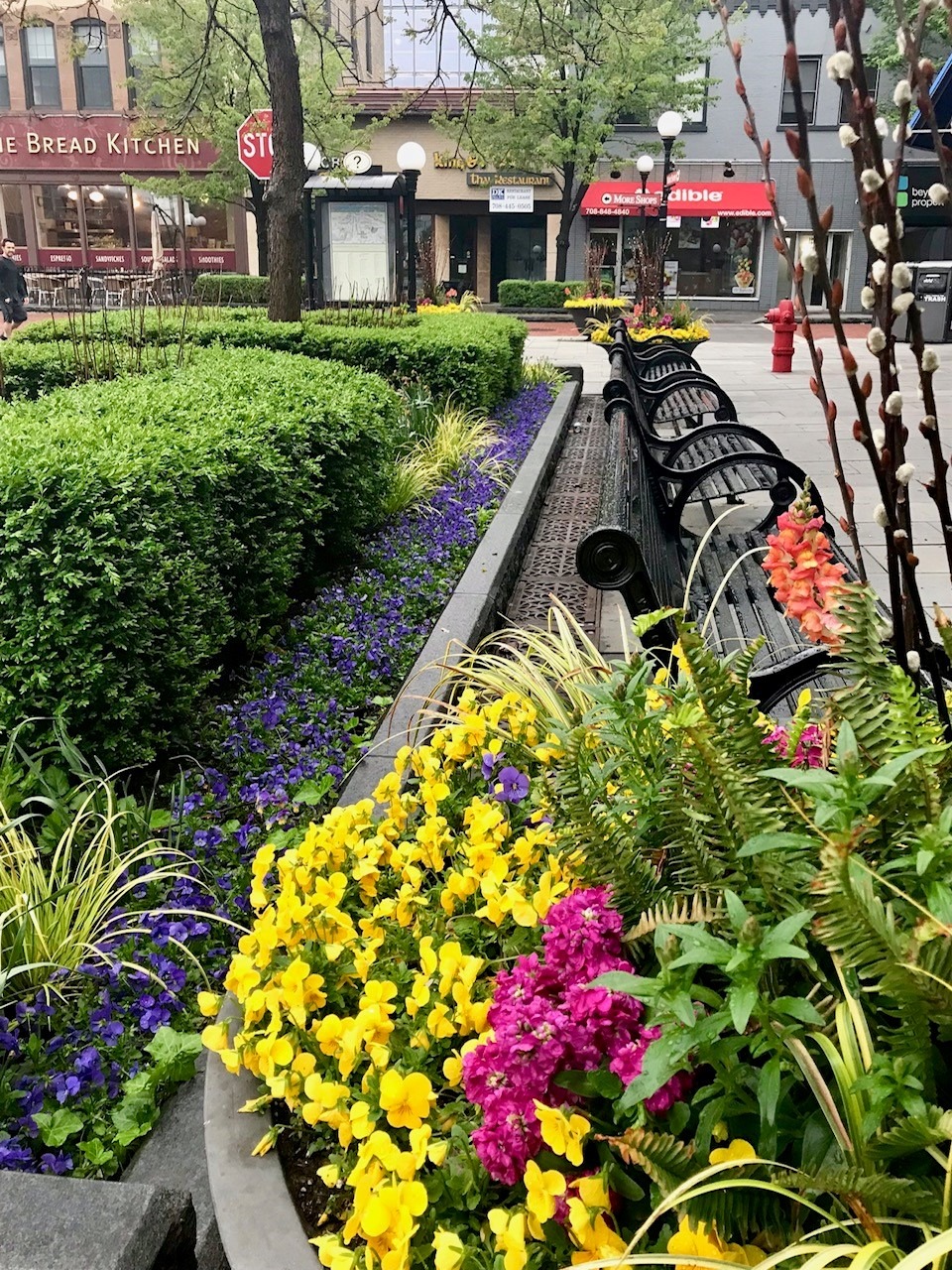 A vibrant urban garden with yellow, purple, and pink flowers lines a walkway. Nearby shops include 