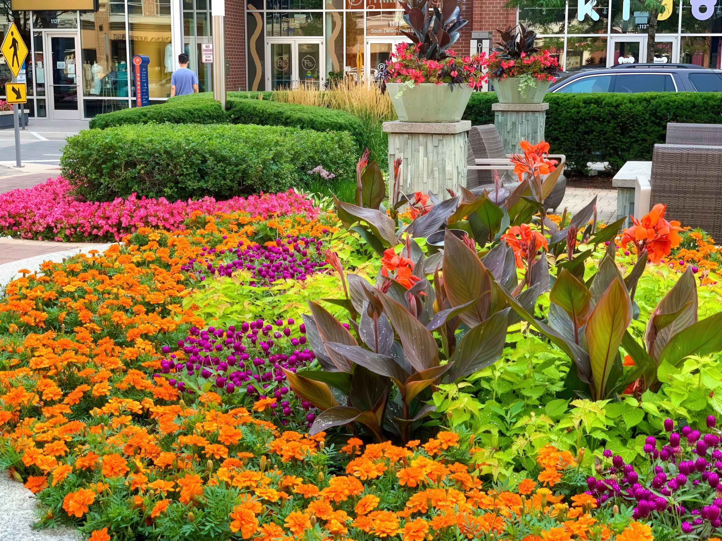 Colorful flower garden with orange, pink, and purple blooms. A person walks by store fronts in an urban setting.