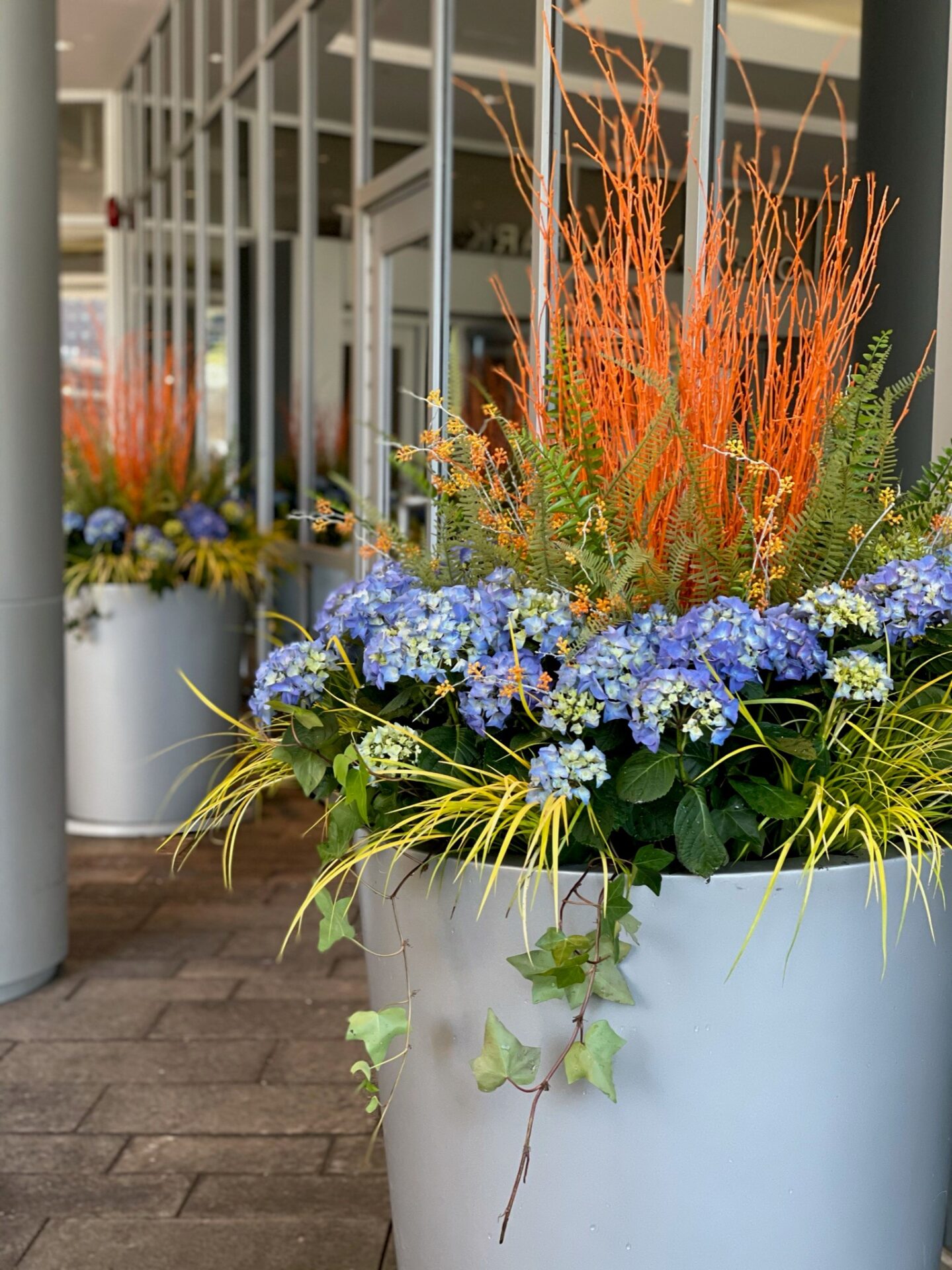 Large planters with orange branches and blue flowers line a glass building entrance, creating a colorful and inviting atmosphere.